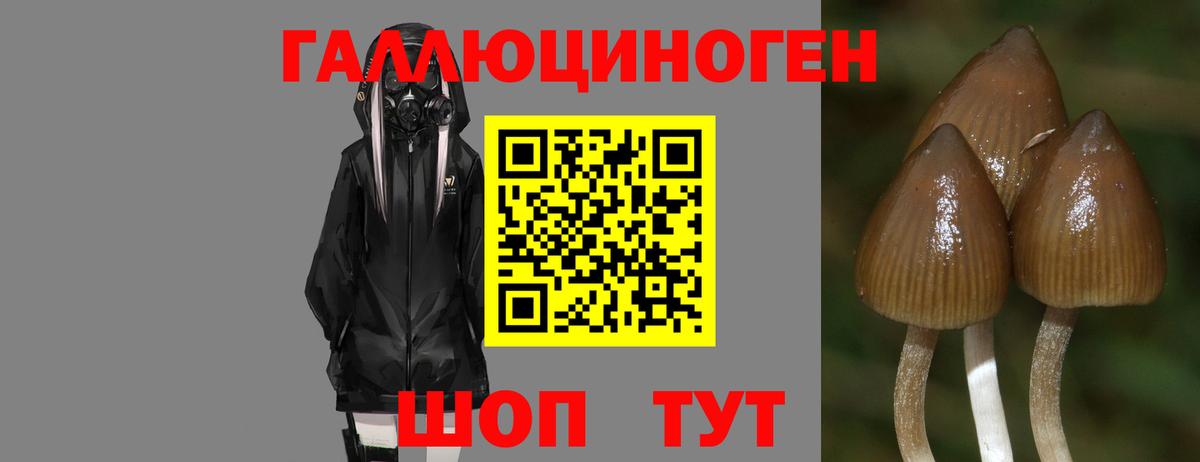 Галлюциногенные грибы Magic Shrooms Старая Купавна